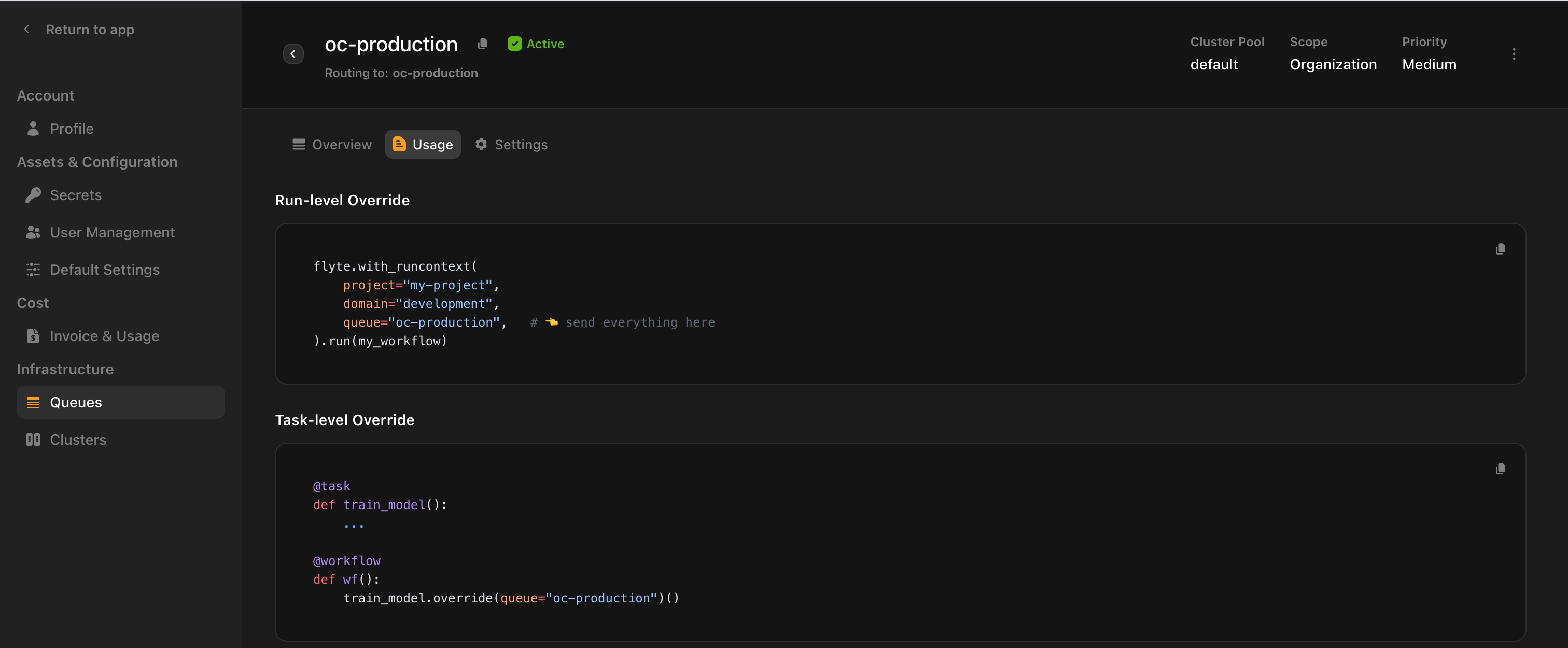 The Usage tab of a queue’s detail view, showing run-level and task-level routing snippets